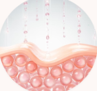 Hyaluronic Acid + Cushioning Humectants